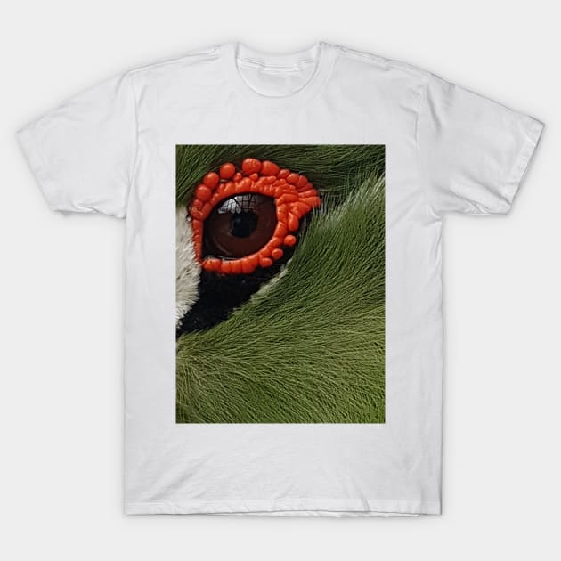 Giving you the Eye T-Shirt by RFMDesigns